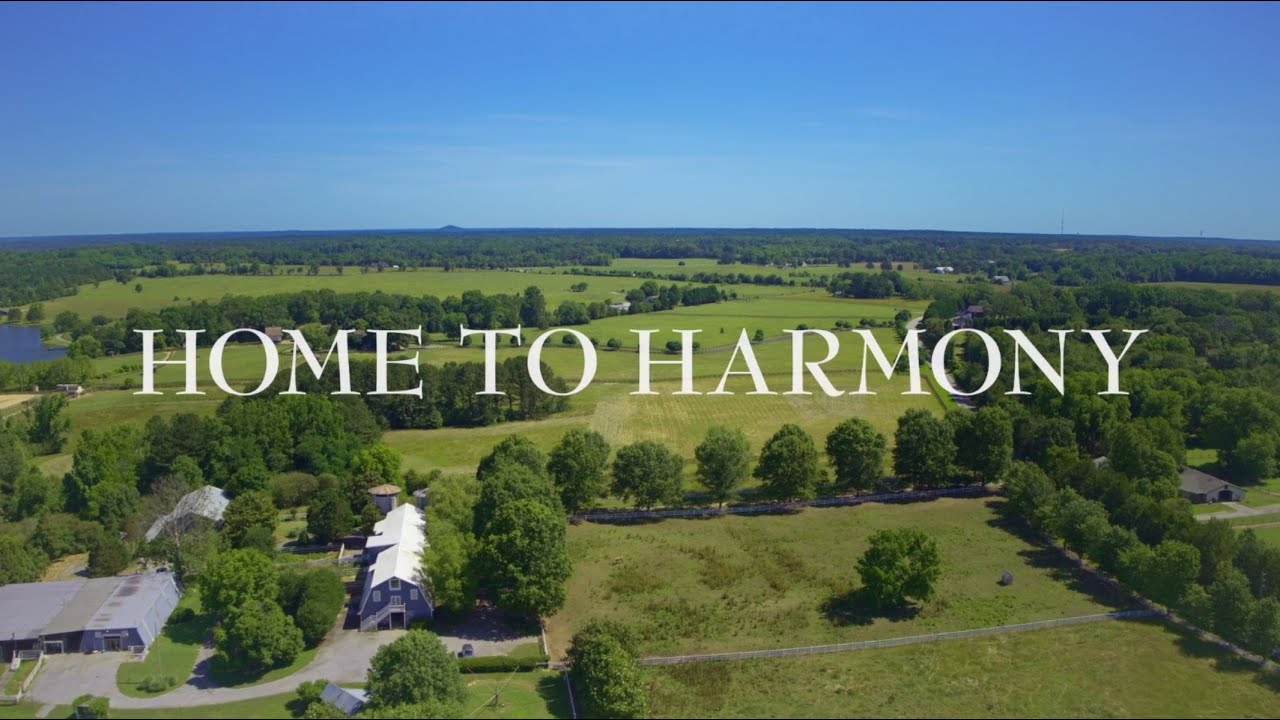 A First Look at Home to Harmony, a TV series