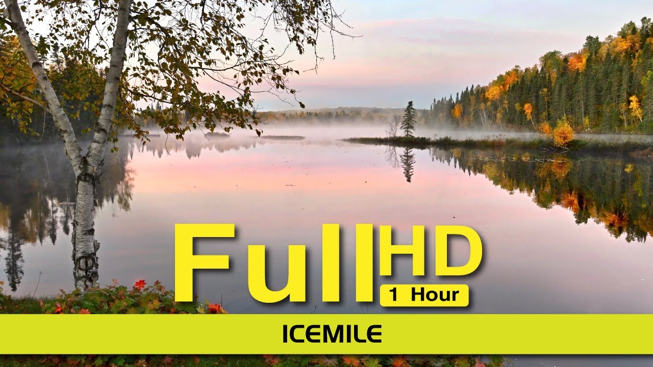 Meditation Music for Positive Energy Healing Music Stress Relief