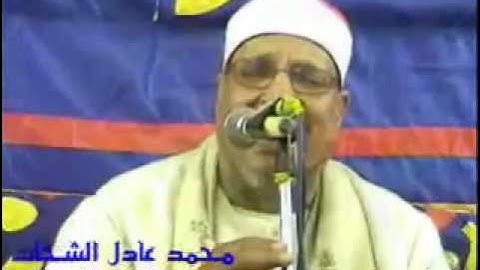 الشيخ عبد الوهاب الطنطاوي سورة التحريم والقصار 28.05.11