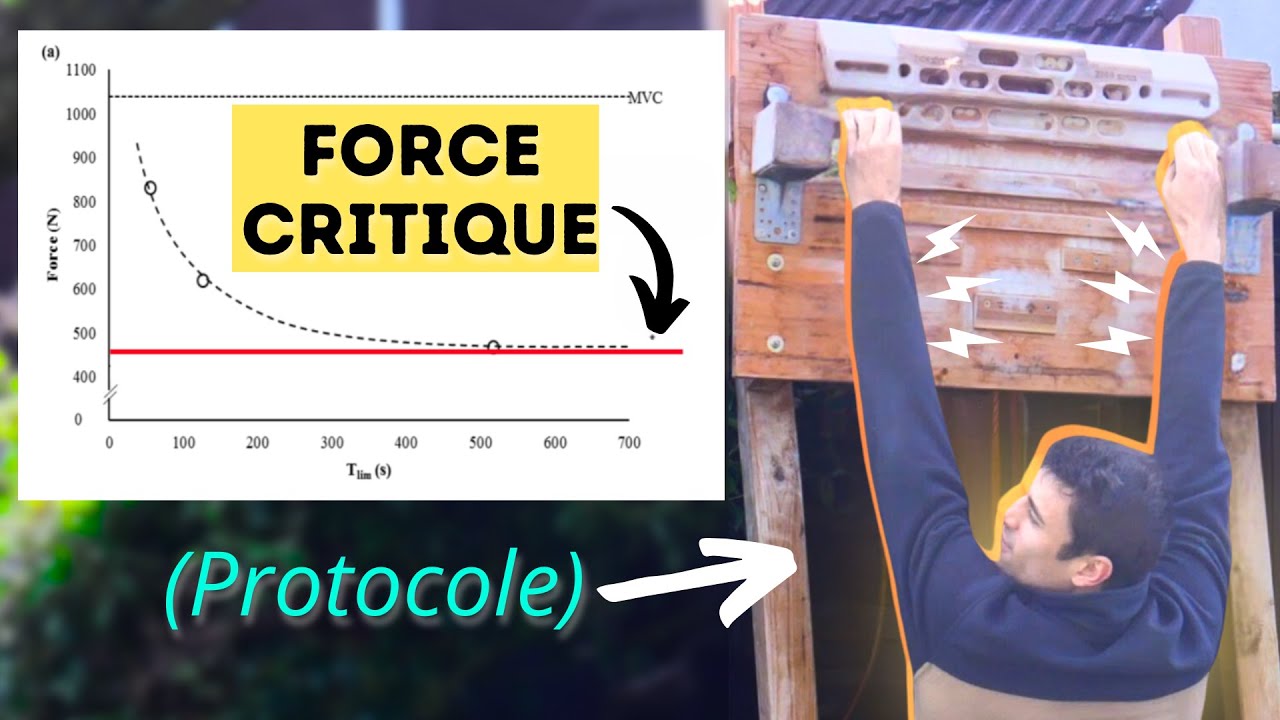 Développer son Endurance sur Poutre (Force Critique)