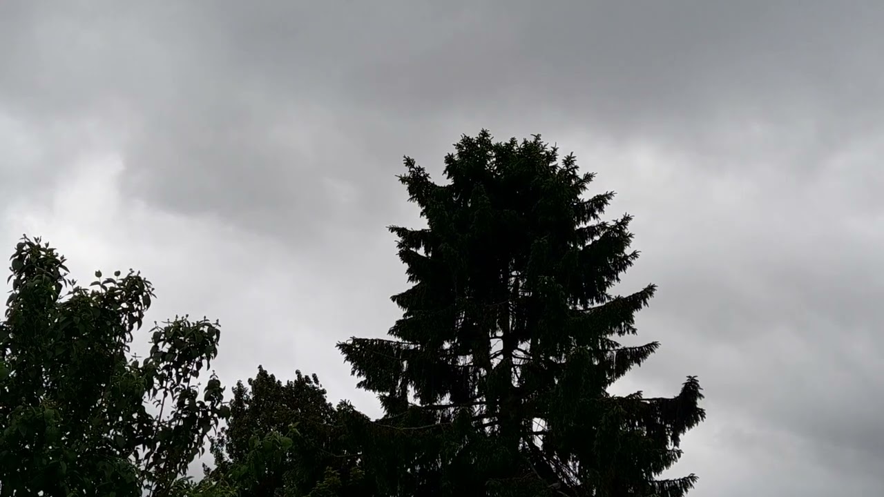 G-KSST waking me up lol 😆 25.05.2022 (lovely blade slap)