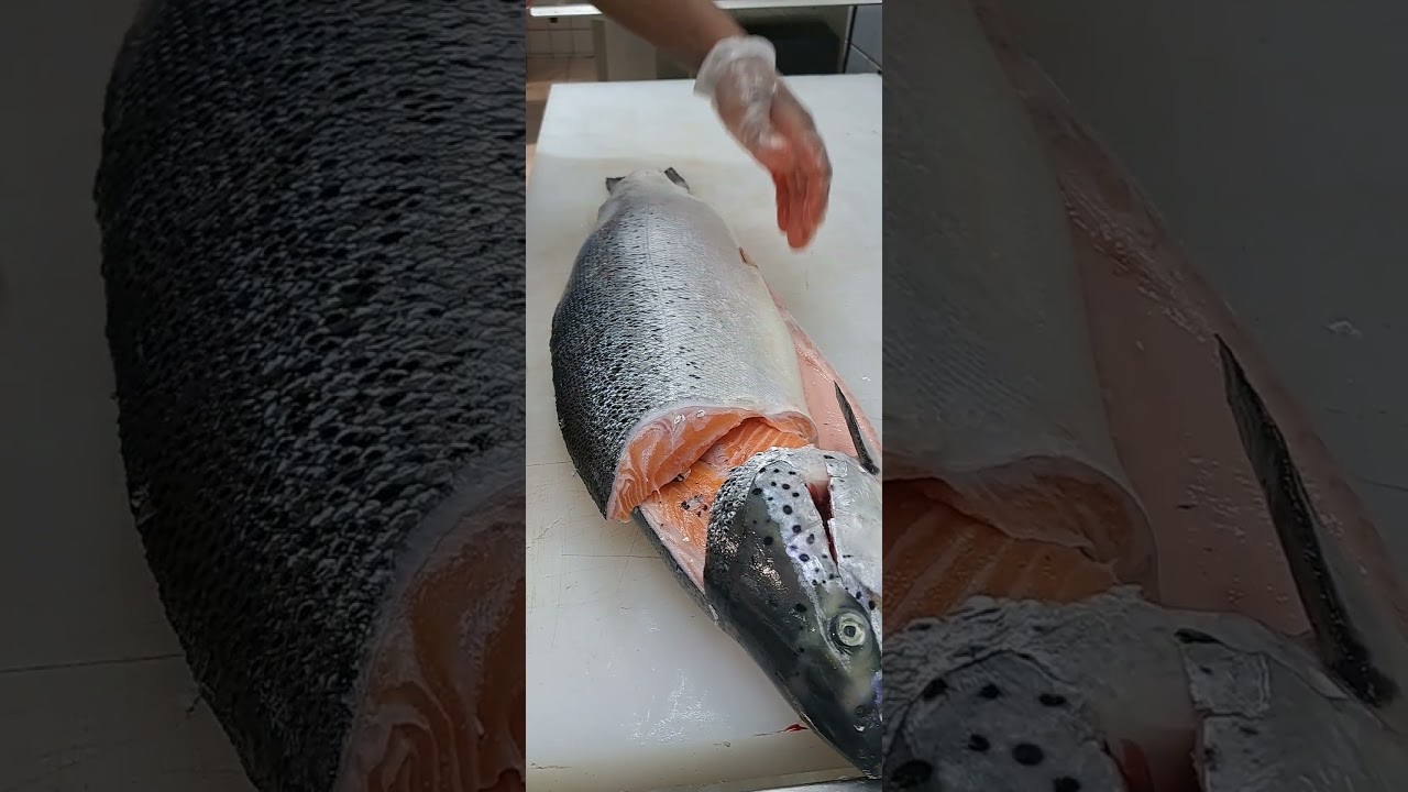 How To Fillet A Whole Salmon Fish | 