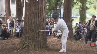 善光寺御開帳へ　「回向柱」は樹齢250年以上の杉　前立本尊と“善の綱”で結ばれる御開帳のシンボル　「平和を願って」斧入れ　2027年4月4日から77日間開催　長野市