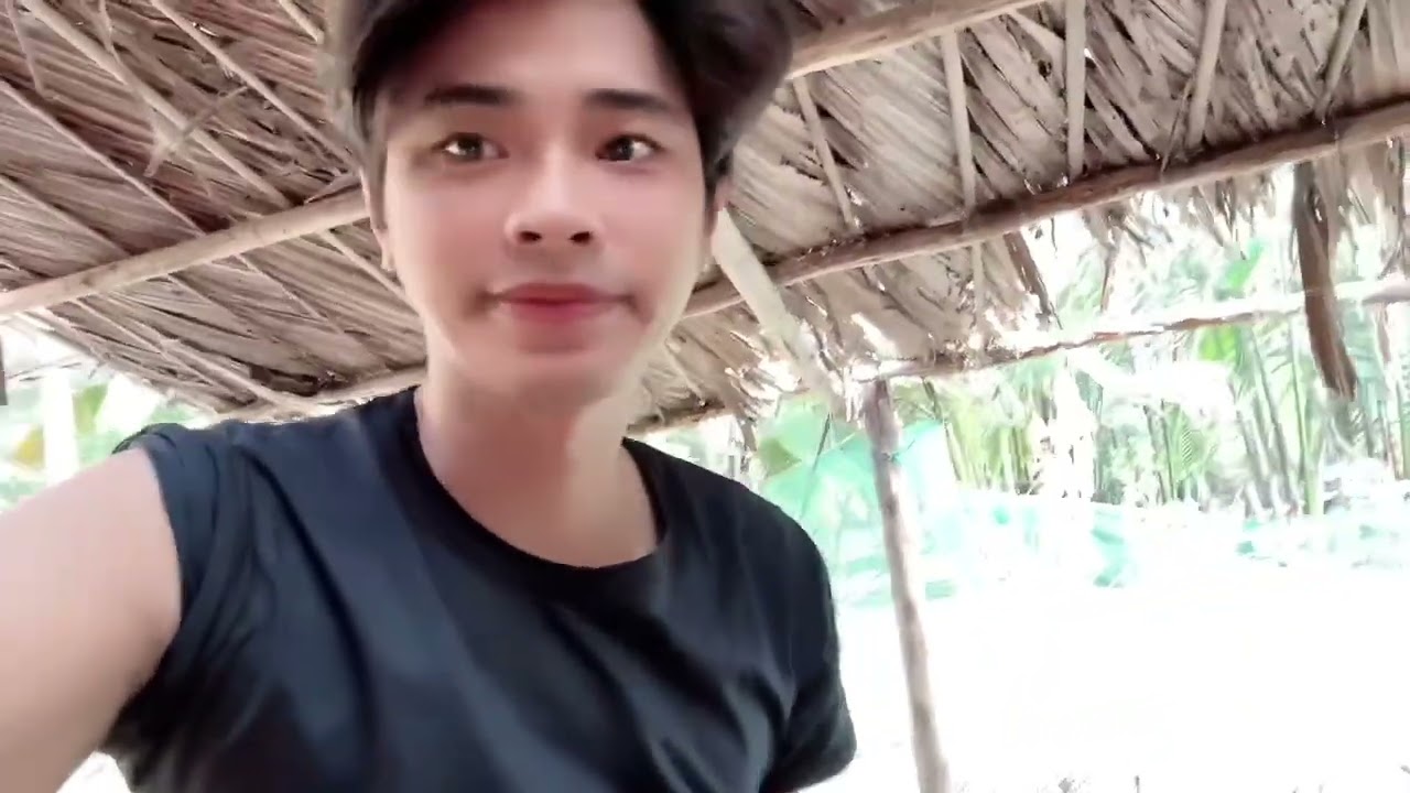 Công việc buổi sáng , nhặt tứng gập bé gà đang đẻ tứng