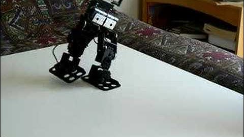 First Steps - "Walking Blues"