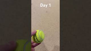 Day 1 of bouncing ball #ball #bouncing balls g Profile