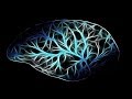 Stem Cell Production | Anti Aging,Nerve,Cell,Tissue & Cartilage Regeneration Binaural Beats Music