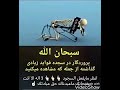 سبحان الله پـــروردگار در سجده فواید زیادی گذاشته از جمله که 