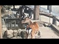 なんなん?怒らんといて!