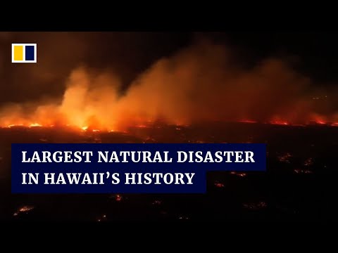 Hawaii resort city reduced to smouldering ruins as wildfires kill dozens on Maui island