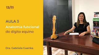 AULA 3 - Anatomia Funcional do dígito equino