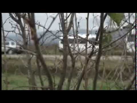 რჩევები თხილის მოყვანის შესახებ | ADVICE FOR NUT GROWING