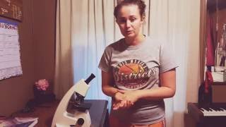 Proper Care and Handling of a Microscope