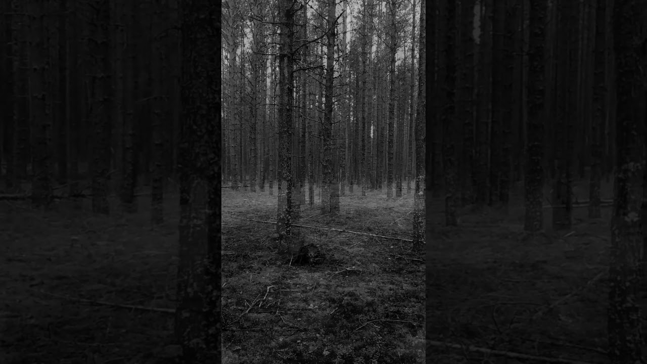 Alienations - Мне не жаль 