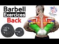 تمارين الظهر بالبار للحصول على عضلات قوية ومتناسقة Barbell Back Exercises 