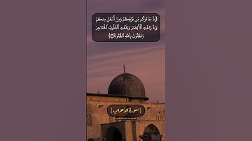 سورة الأحزاب الآية ١٠ الى ١٢ بصوت الشيخ محمد صديق المنشاوي