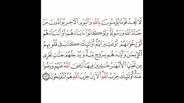 سورة المجادلة 9 القسم التاسع تكرار كيفي من .. لا تجد قوما .. إلى .. هم المفلحون