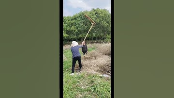simple tool for shedding soybean seeds ##shorts