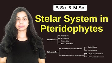 Stelar System in Pteridophytes || B.Sc. & M.Sc.