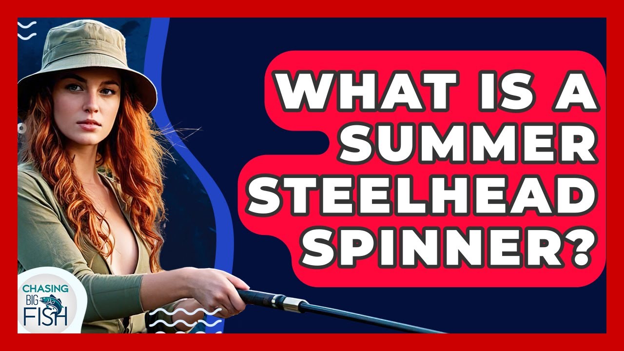 What Is A Summer Steelhead Spinner? - Chasing Big Fish