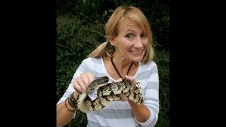 Snake Bytes Tv - Reptile Show Texas Style Snakebytestv