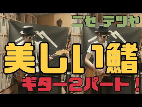 【弾いてみた】美しい鰭【ニセ テツヤ】