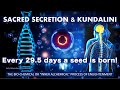 Kundalini energy sacred secretion info 2022  super consciousness the biochemistry of inner alchemy