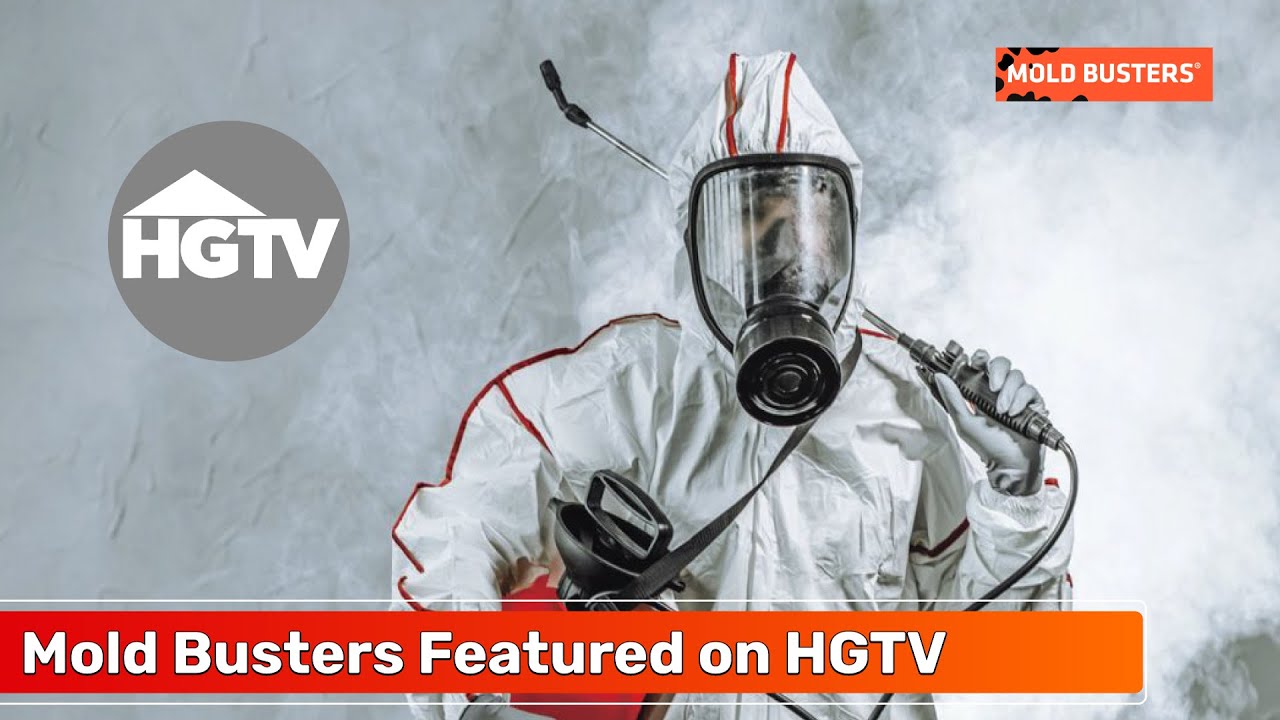Mold Busters Trusted by HGTV