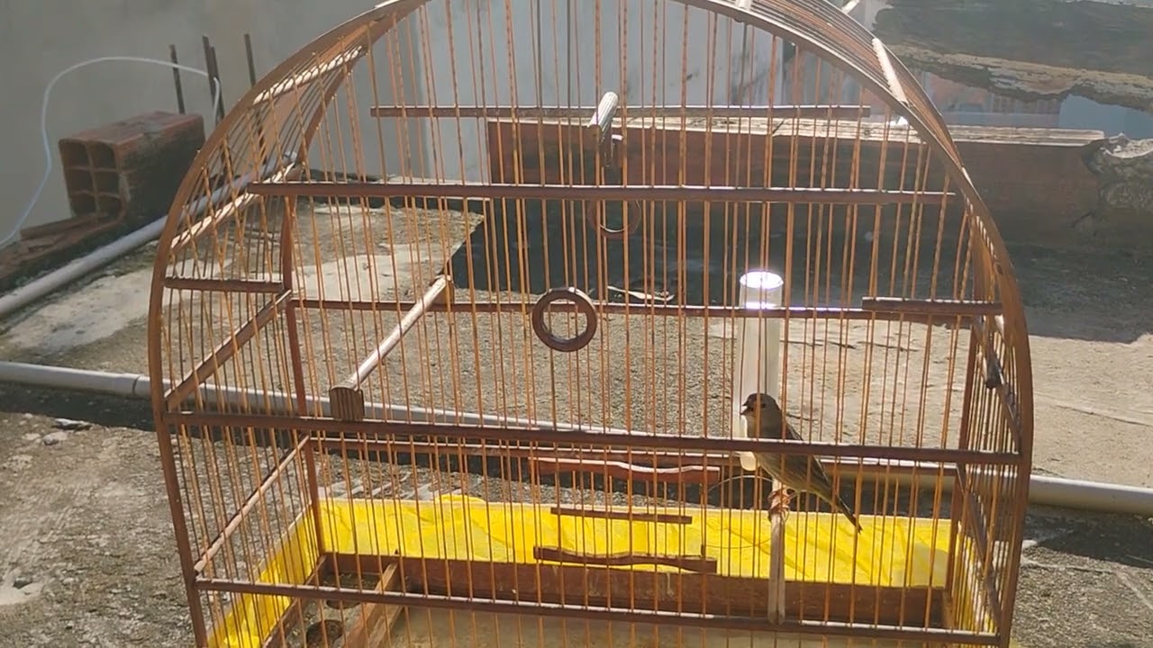 6 de outubro de 2024