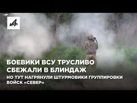 Боевики ВСУ трусливо сбежали в блиндаж. Но тут нагрянули штурмовики группировки войск «Север»