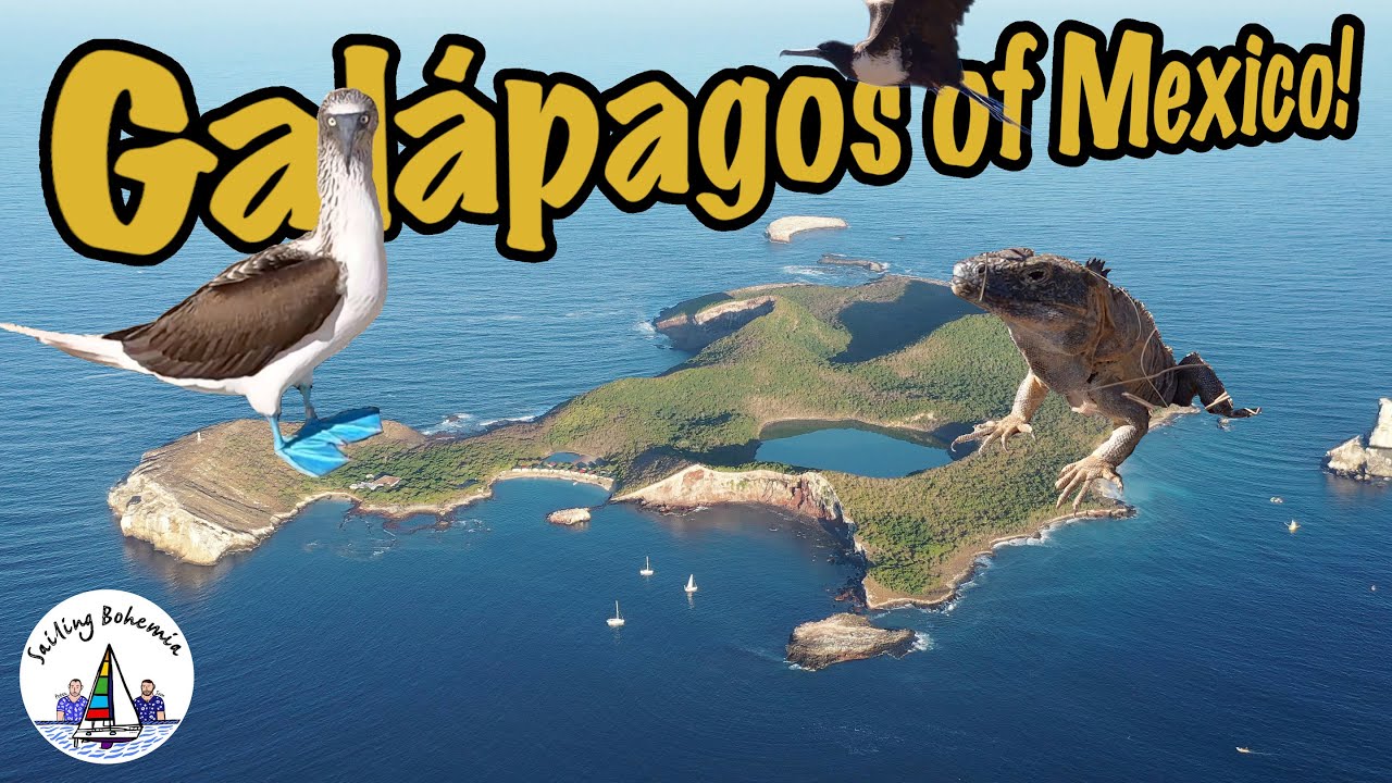 The Galápagos of Mexico: Isla Isabel! Ep.57