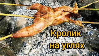 Целый Кролик на углях в лесу