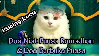 Kucing Lucu Doa Niat Puasa Ramadhan dan doa berbuka