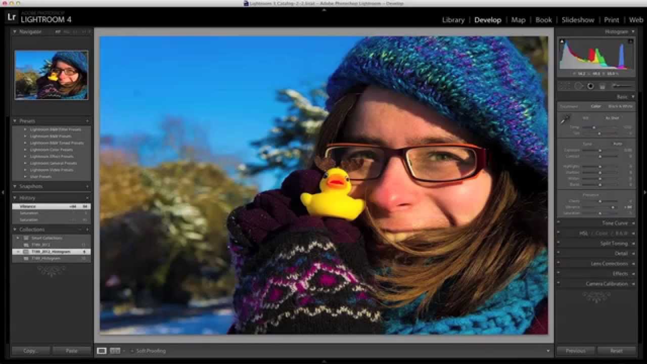 overexposed filmaffinity Histogram part 2 in Photoshop Lightroom (11/19)