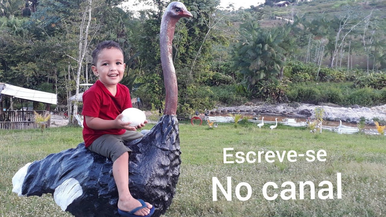 Avestruz de Cimento - Part. Final (Pintura, Textura) Artes& Artesanato