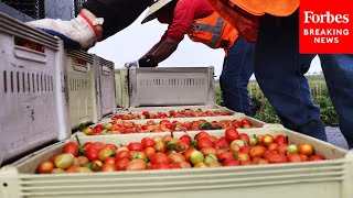 Colorado Governor Jared Polis Signs Two Agricultural Bills Into Law