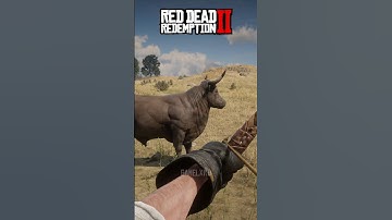 RDR2 vs KCD2 - Physics Comparison🎯PART-2