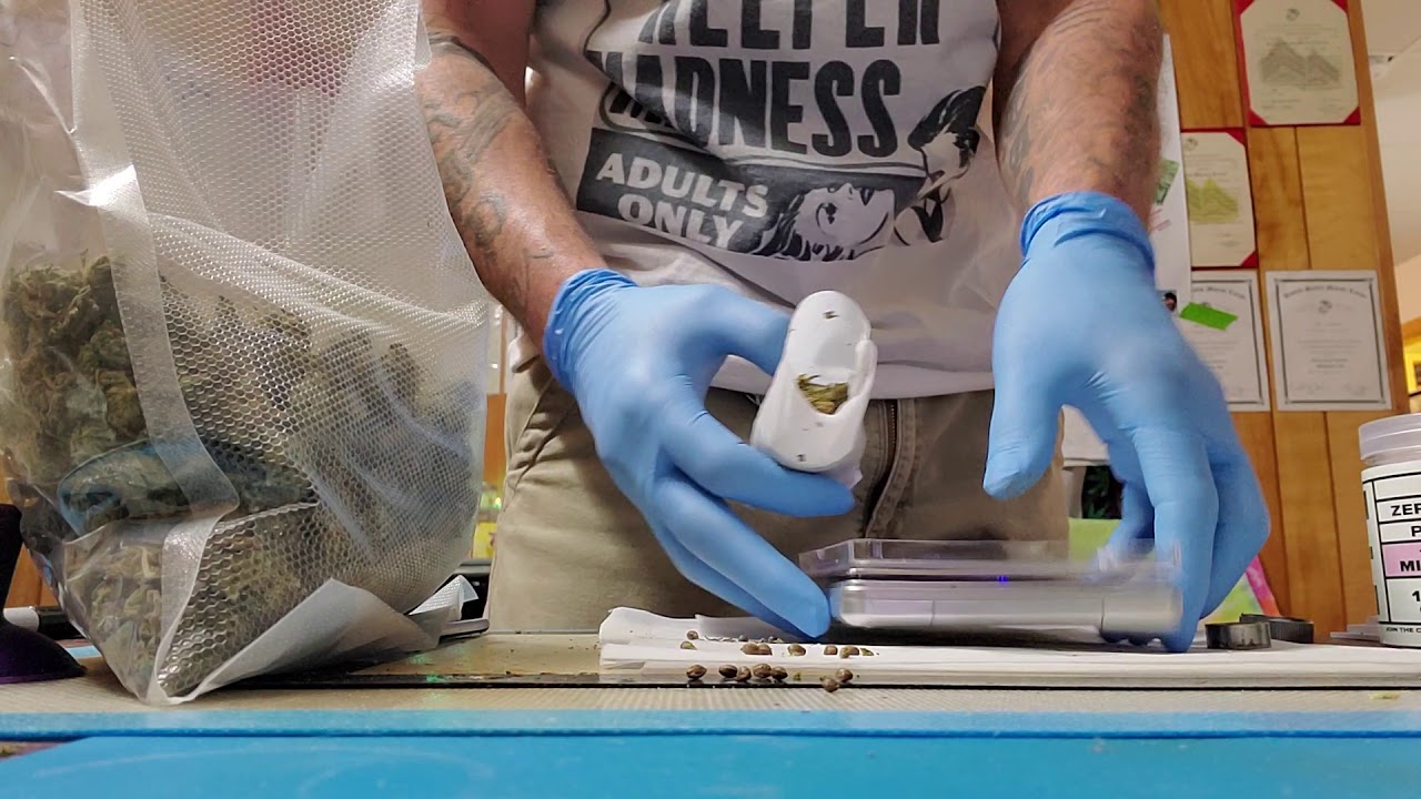 1 OUNCE HAWAIIAN HAZE VS BURRITO TECH