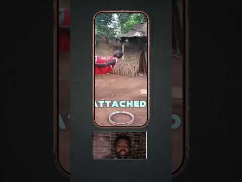 Allah is With You Don’t Stop #abaya #abayaworld