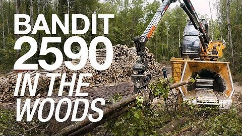 In the Woods with the Bandit 2590 and Kevin Clare Logging