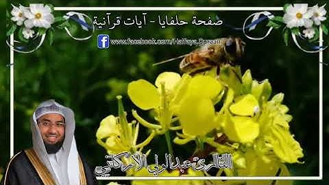 وَأَوْحَىٰ رَبُّكَ إِلَى النَّحْلِ ,  القارئ عبدالولي الأركاني