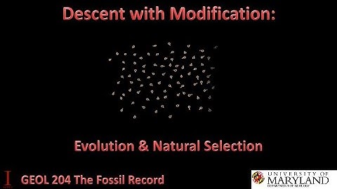 Lecture 6 Descent with Modification: Evolution & Natural Selection