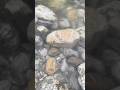 #shorts #youtubeshorts #sikkim #memories #viralvideos #viral #trebding