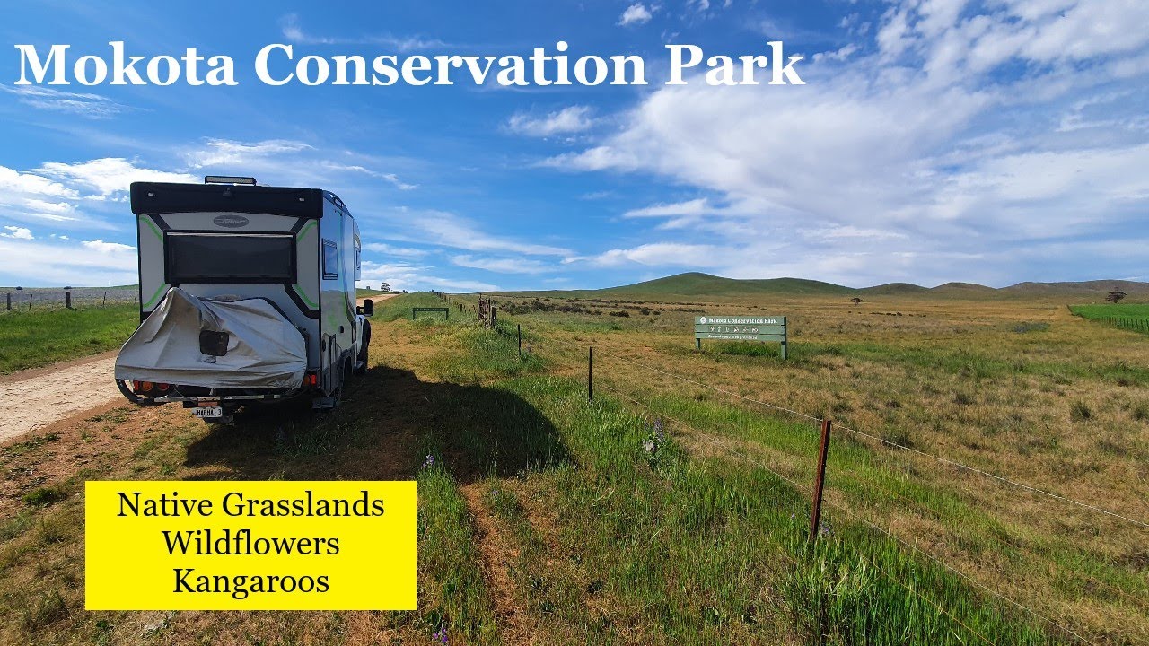 A Visit to Mokota Conservation Park, Mid North, South Australia