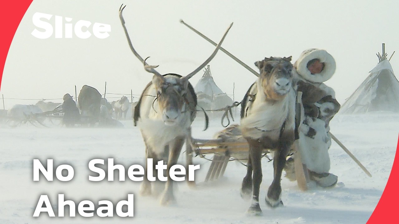 Documentary backdrop image for Nomadic herders, frozen tundra, and children on their own (2026)