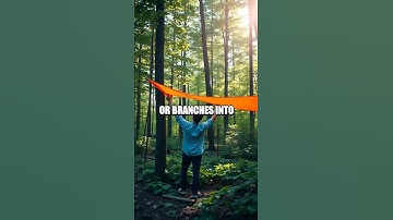 Harnessing Natural Emergency Signals for Survival