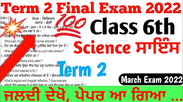 Class 6th Science March Exam 💯 Real Paper । PSEB 6TH Science Term 2 March Exam Final Question Paper