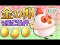 【牧場物語】ニワトリに金の卵を産んでもらうための試練（鶏祭り）をしてきた！【Switch】【再会のミネラルタウン】