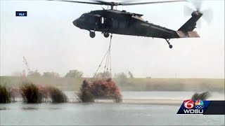 Recycling Christmas Trees For Coastal Restoration