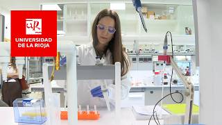 Logran diseñar vacunas contra el cáncer que prolongan la supervivencia en ratones